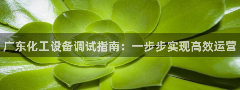 新宝gg一注册