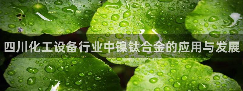 新宝gg创造奇迹客服