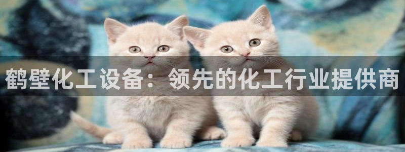 新宝gg最新更新内容与历史回顾