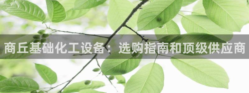 新宝gg―创造奇迹登录平台
