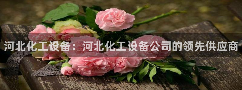 新宝gg创造奇迹登录入口网址