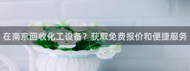 新宝gg登录入口