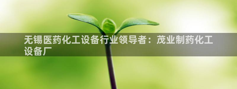 新宝gg创造奇迹登录入口