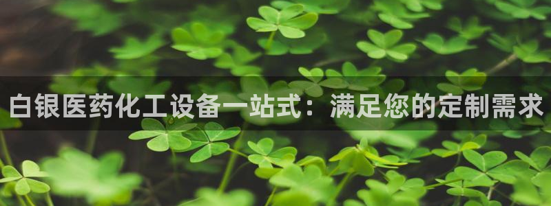 新宝gg创造奇代理加盟