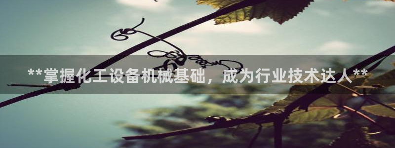 新宝gg创造奇奇迹
