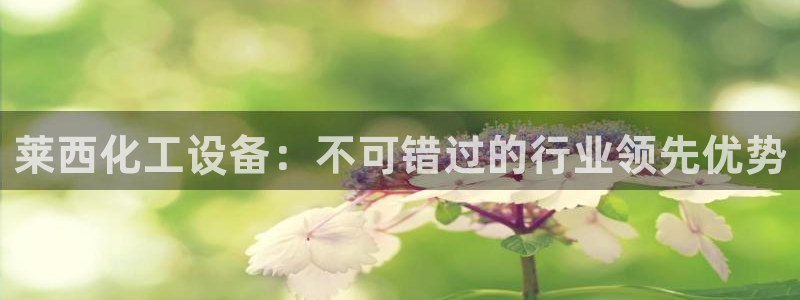 新宝gg平台注册登录指南