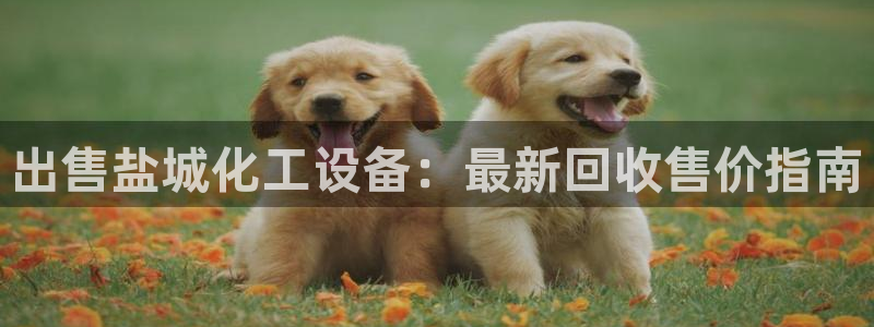 新宝gg—创造奇迹注册