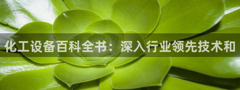 新宝gg创造奇迹登录注册入口