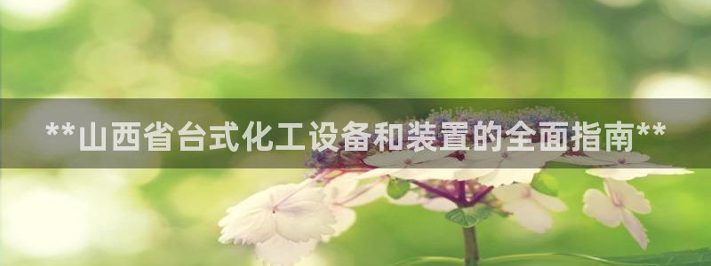 新宝GG平台负责人