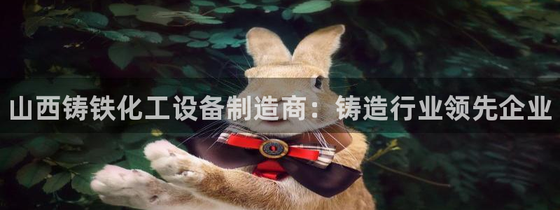 新宝gg登录不上去了了