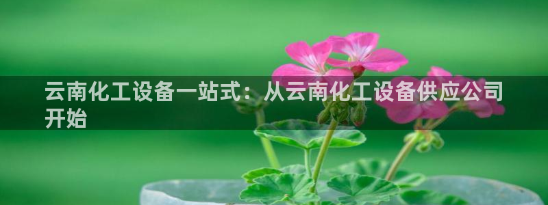 新宝gg创造奇迹官方登录入口