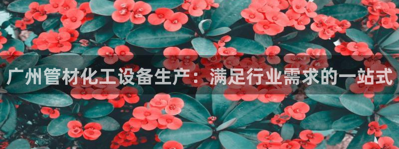 新宝gg登录不上去了了