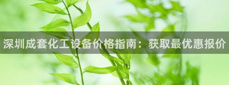 新宝gg真的能赚钱么