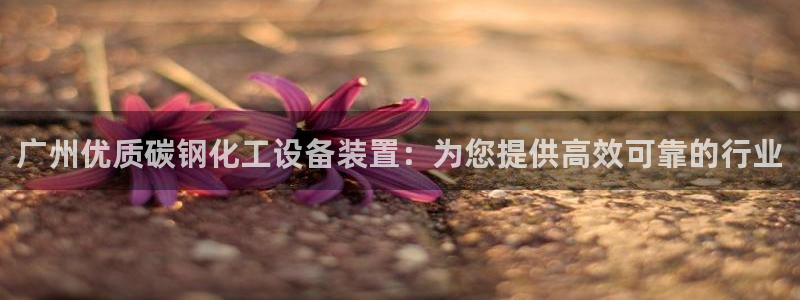 新宝gg游戏平台客服