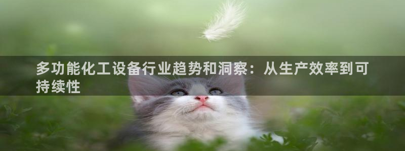 新宝gg平台注册登录指南