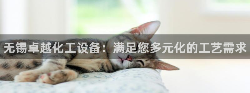 新宝gg官网登录代理