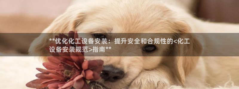 新宝gg平台注册官网