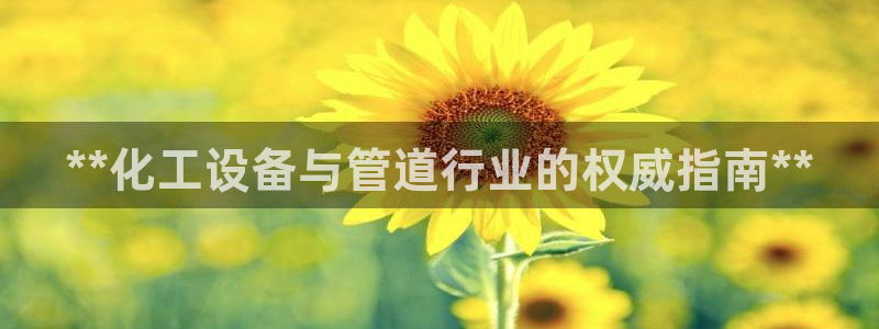 新宝一gg测速