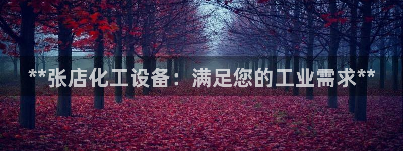 新宝gg最新更新内容与历史回顾