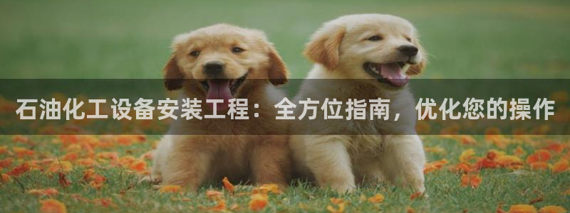 新宝gg创造奇迹官网地址