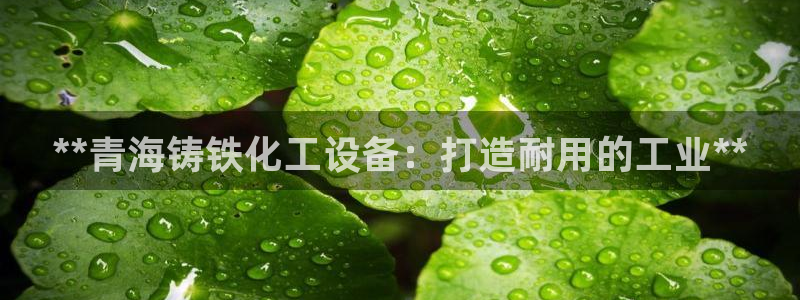 新宝gg登录了还能上吗