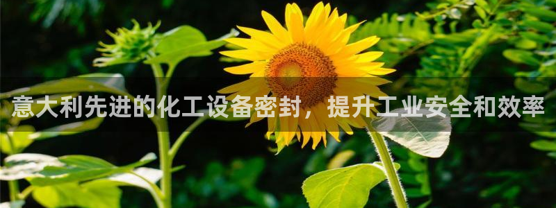 新宝gg创造奇迹登录