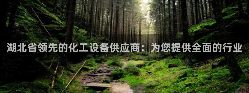 新宝gg提现不到账了?