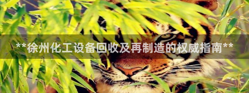 新宝GG创造奇迹客服怎么联系