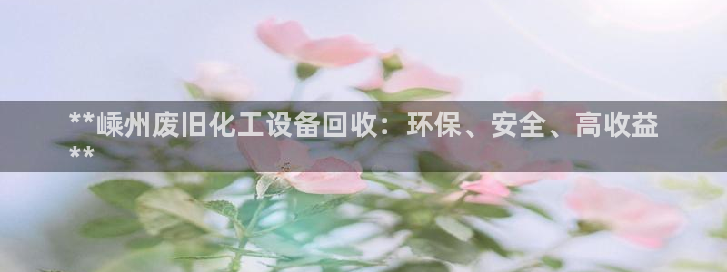 新宝gg一创造奇迹代理测速