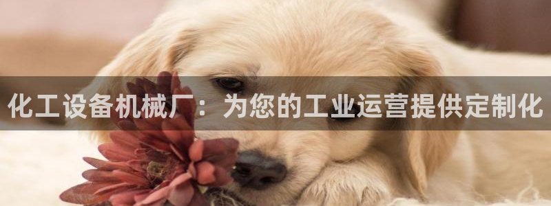 新宝gg平台注册?