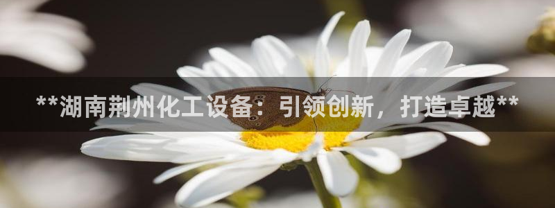 新宝gg登录不了是什么原因