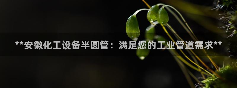 新宝gg创造奇迹会员注册登录