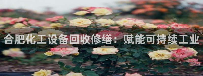 新宝gg6—创造奇迹官方登录