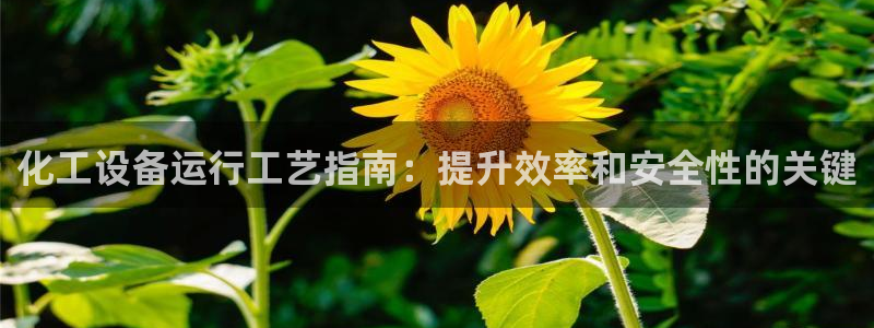 新宝GG创奇迹