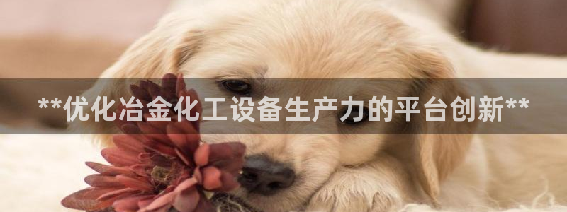 新宝gg平台登录手机版