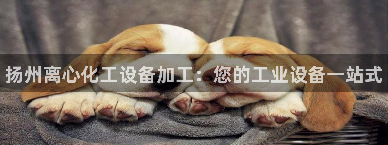 新宝gg平台注册