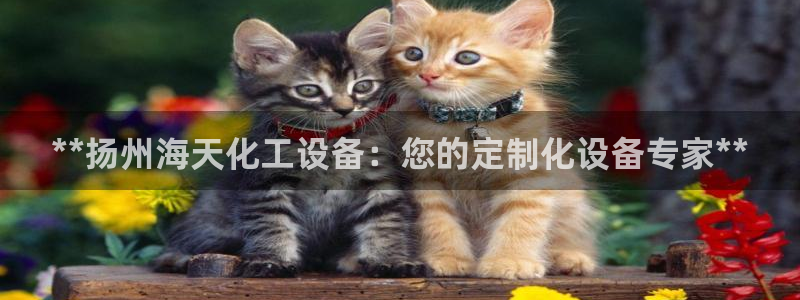 新宝gg创造奇迹代理