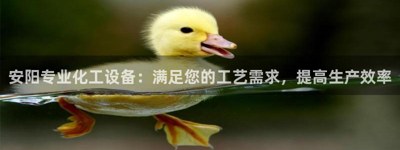 新宝gg娱乐创造奇迹登录官网