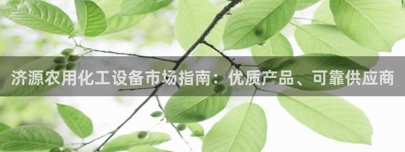 新宝gg案件