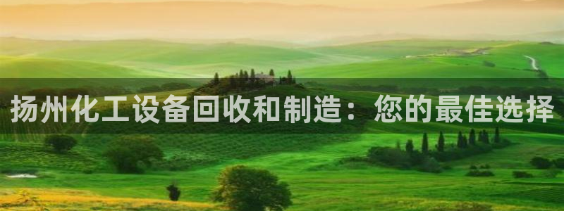 新宝gg手机版登录官网