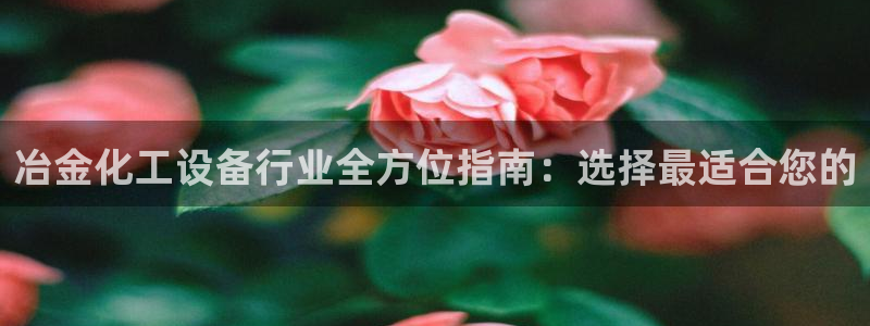 新宝gg1956注册地址