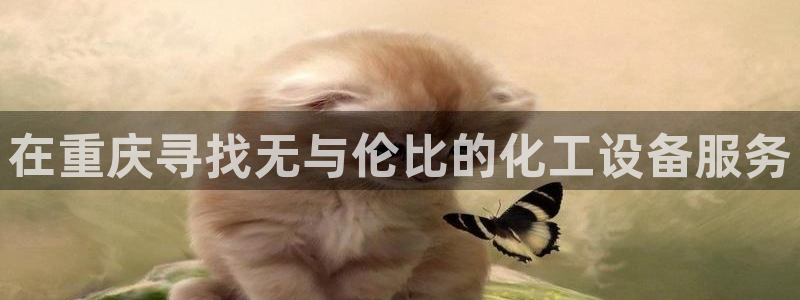 新宝gg怎么登录不上去了了