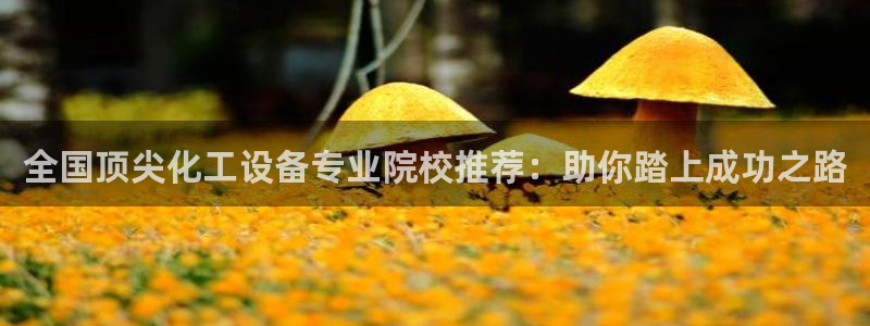 新宝gg注册网址