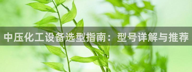 新宝gg一创造奇迹代理测速