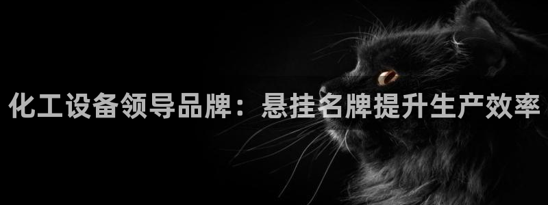 新宝gg登录了还能上吗