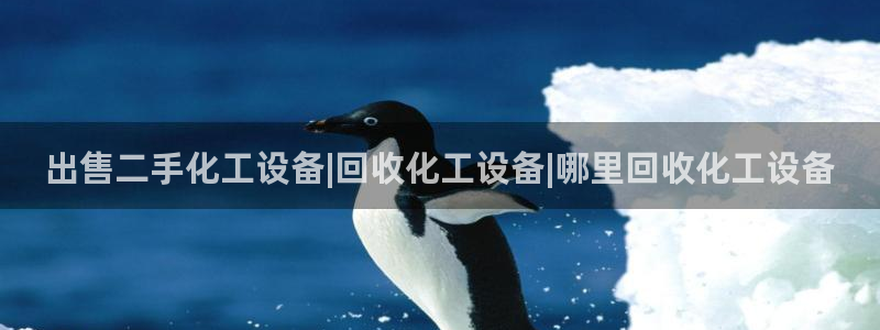 新宝gg登录测速中心