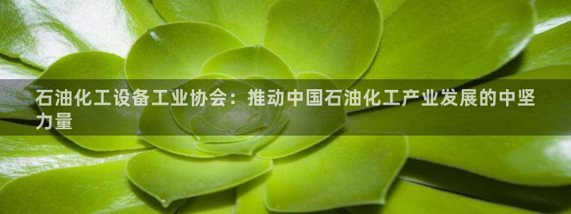 新宝gg平台登录手机版