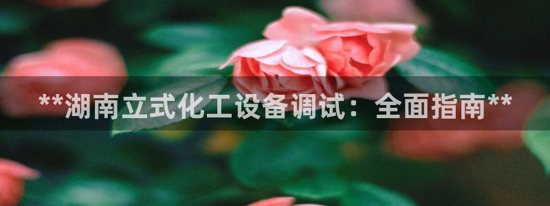 新宝gg创造奇迹会员注册登录