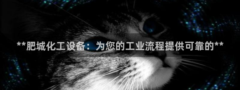 新宝gg创造奇迹平台登录入口：**肥城化工设备：为