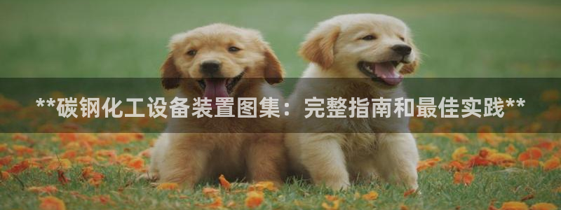 新宝gg创造奇迹官方登录入xb
